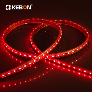 Bán Buôn Điện Áp Cao Ngoài Trời 110V <span class=keywords><strong>220V</strong></span> SMD 5050 100 M/cuộn Màu Duy Nhất RGB <span class=keywords><strong>Led</strong></span> <span class=keywords><strong>Strip</strong></span> Ánh Sáng - Product Image 4