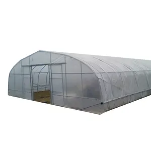 Agricultural Single Span Plastic Tunnel Strawberry Greenhouse Green House