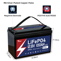 Batterie TEZE 12V 100Ah LiFePO4 avec Bluetooth, auto-chauffant et équilibreur actif, BMS Daly Smart 100A intégré