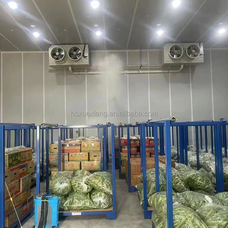 Walk in freezer 42x42m, penyimpanan dingin logistik proyek ruang dingin untuk gudang