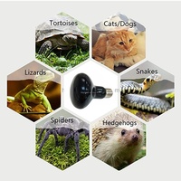 Ampoule chauffante infrarouge rouge pour reptiles, lumière chauffante pour tortue, caméléon, serpent, hamster, vivarium, contrôle de la température hivernale