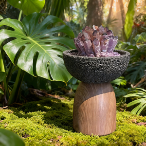 Cụm thạch anh tím bán buôn với đế gỗ Trang trí nhà Cụm thạch anh tím  Đá thạch anh tím dạng thạch anh tự nhiên Trang trí nhà - Product Image 6