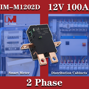 Componentes del medidor <span class=keywords><strong>de</strong></span> Electricidad 12V 100A immue magnético 500mT relé <span class=keywords><strong>de</strong></span> enganche del motor con derivaciones CT - Product Image 4