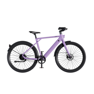 Bicicletta Elettrica Multifunzionale <span class=keywords><strong>PIXAR</strong></span> AMANO S900 con Motore 36V250W, Telaio in Lega di Alluminio, Colori Opzionali, Disponibile nel Magazzino UE - Product Image 5