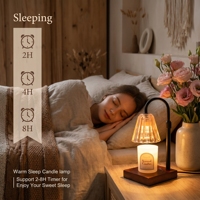 Lampe chauffe-cire conique en verre style Wabi Sabi rétro à 4 niveaux de luminosité, idéale pour la décoration de salon - Meilleure vente