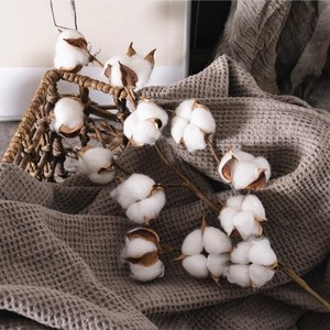 Fleurs séchées artificielles en coton 48 cm, bouquet blanc préservé, décoration de Noël, longue durée, réutilisable, décoration d'intérieur - Product Image 4