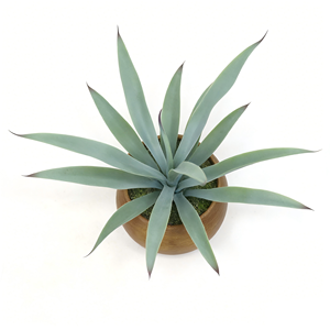 Plante d'agave réaliste à 15 feuilles dans un pot en pulpe de papier avec faux sol pour un aspect naturel, idéal pour la décoration de table de bureau à domicile - Product Image 2