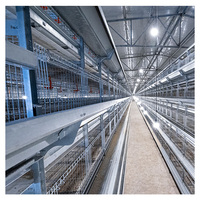 Nouvelle cage d'élevage automatique en batterie de type H pour poussins de poule pondeuse d'un jour, en vinyle