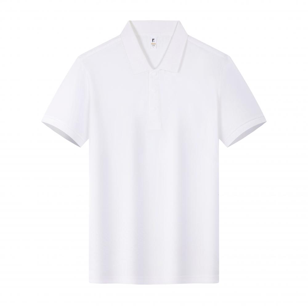 T06-Blanc