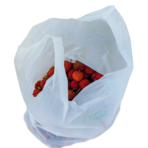 Sacs à provisions en plastique à fermeture éclair HDPE imprimés par gravure recyclables personnalisés de haute qualité avec taille personnalisée pour supermarché fabriqué au Vietnam - Product Image 1