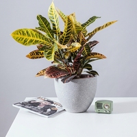 Pot de fleurs grand format, respirant et durable, en résine imitation ciment épaissie, motif oiseau de paradis, style nordique minimaliste, directement de l'usine