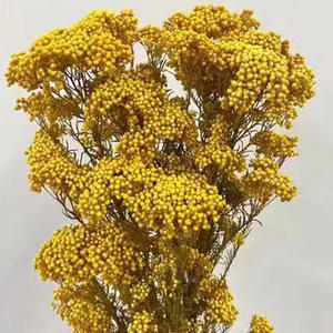 Оптовая продажа консервированных натуральных цветов просо сушеный букет для свадебного украшения - Product Image 5