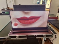 Envío Rápido, Pedido de Prueba: Panel LED Holográfico de 600x300mm, Unidad de Muestra con Visualizaciones 3D Flotantes para Demostración de Contenido y Pruebas de Laboratorio
