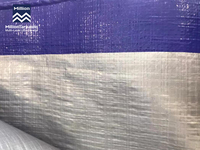 Bâche de protection MILLION 120GSM bleue argentée imperméable et anti-UV pour voiture et bateau en PE