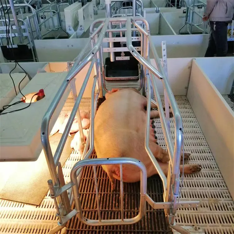 Diproduksi oleh produsen Tiongkok memiliki Harga keuntungan hewan peralatan peternakan Piggery Farrowing peti untuk babi