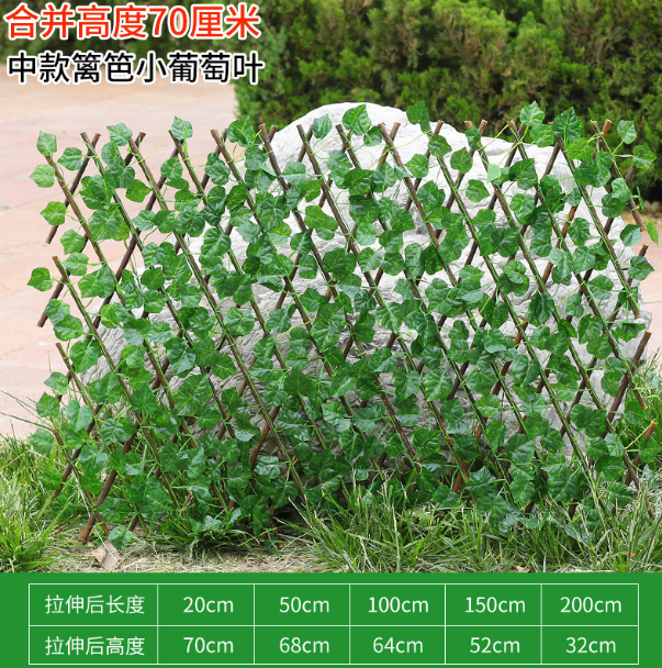#10-70cm petite feuille