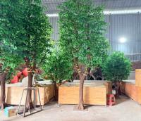 Arbre artificiel en plastique Ficus Benjamina sur mesure, hauteur 400 cm, design réaliste, luxe, décoration pour hall d'hôtel, centre commercial, villa