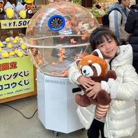 Machine de loterie Sqarcade à monnayeur, interface anglaise, tirage de billets par soufflerie d'air avec balles de ping-pong, pour Bingo et Loto Chanceux Cyclone