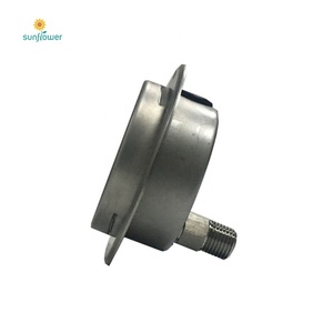 6 inch stainless steel brass internal master gauge for <strong>testing</strong> <strong>pressure</strong> - Product Image 1