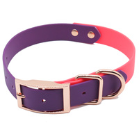 Ensemble de laisse pour collier pour animaux de compagnie de couleurs mélangées imperméables résistant aux intempéries en cuir enduit de PVC pour chiens colliers solides BREAKAWAY pour chiens en plastique