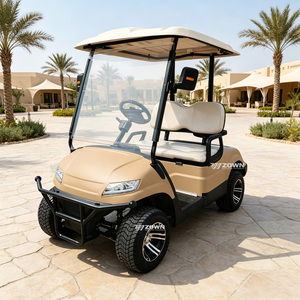 Voiturette de golf électrique multifonctionnelle 2 places, batterie lithium 48V, mini-voiturette de golf pour ferme, parc, petite station balnéaire - Product Image 1