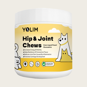 Oem/ODM dịch vụ làm tăng năng lượng và tính di động con chó Doanh bổ sung vật nuôi phúc lợi với canxi - Product Image 1