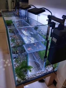 ตู้ปลาแก้ว<span class=keywords><strong>สำหรับ</strong></span>แมว ปี 2025 บ้านแมวและ<span class=keywords><strong>คอน</strong></span><span class=keywords><strong>โด</strong></span>แมว ของเล่นตู้ปลาตกแต่งภายในสร้างสรรค์ สนุกสนาน <span class=keywords><strong>สำหรับ</strong></span>สัตว์เลี้ยงขนาดเล็ก - Product Image 3