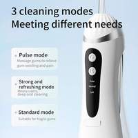 Hydropulseur Dentaire Électrique Portable Rechargeable Étanche pour Nettoyage des Dents à Domicile et en Voyage