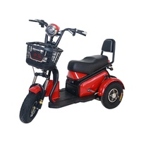 Fabricant chinois de vélos électriques puissants