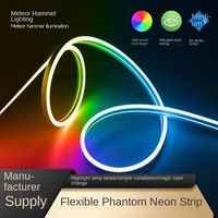 Barre lumineuse LED RVB Télécommande intelligente et application mobile Contrôle automatique du changement de couleur avec IP65 PVC Neon Gradient Landscape Application
