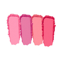 Palette de maquillage en poudre hautement pigmentée personnalisable, marque privée, DIY, illuminateur, contour, blush, palette de blush imperméable