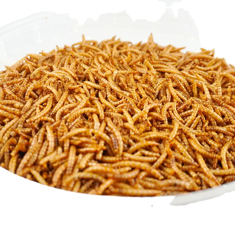 Wholesale High Protein Pet Food Bird Food Feed Hamster Snacks Dried Yellow Mealworms 100g200g500g