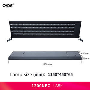 <span class=keywords><strong>Aquarium</strong></span> en acrylique avec verre de traitement personnalisé, <span class=keywords><strong>aquarium</strong></span> de poissons de grande et moyenne taille, affichage de petit poisson - Product Image 6