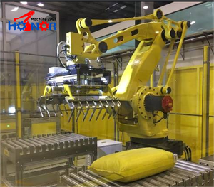 <span class=keywords><strong>Multi</strong></span> funzione pinza <span class=keywords><strong>Robot</strong></span> per palettatrice automatica Robotic Bag /pallet/slipsheet Palletizer - Product Image 4