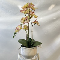 Orchidées artificielles jaunes écologiques en vrac fabriquées à la main plantes en pot pour le hall d'hôtel de luxe touche de mariage réaliste
