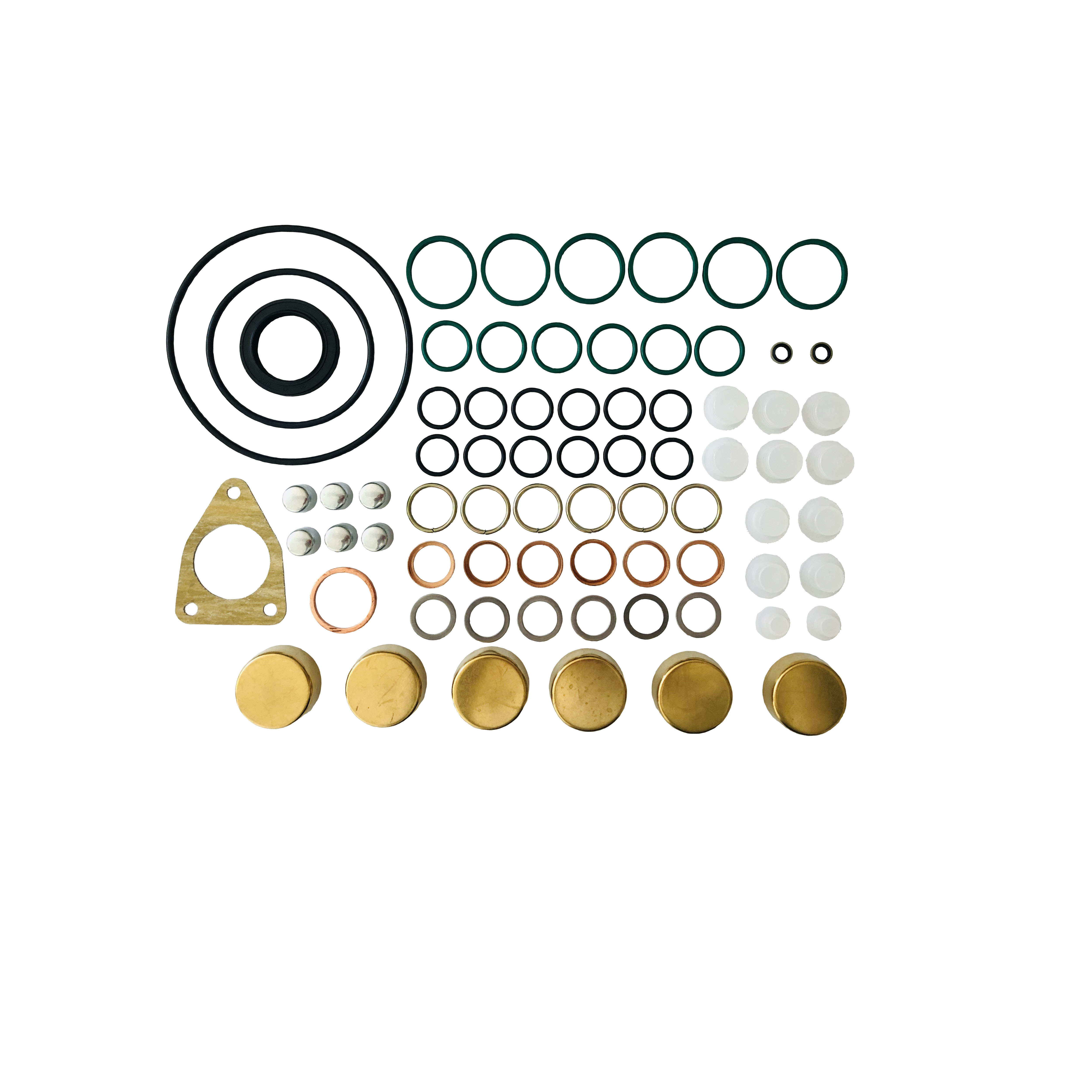 Wholesale Diesel Fuel Injection Pump Part 2 417 010 010 Repair Kit 2417010010 (800019) With High Quality
