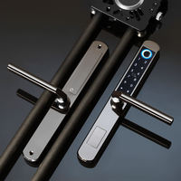 Serrure de porte intelligente SUS304, étanche, avec empreintes digitales, mot de passe, carte, entrée sans clé, TTLock Tuya WiFi, Cerradura Inteligente, extérieur