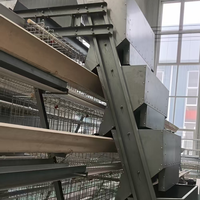 Cage à poulets automatique, équipement d'élevage avicole, cage pour poules pondeuses