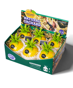 Ambientador sólido con forma de piña, aroma duradero, elimina olores, para decoración interior de coche, 6 piezas, venta al por mayor de fábrica OEM ODM - Product Image 1