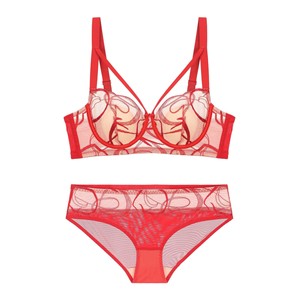 Conjunto de Lencería Francesa para Mujer, Sexy, con Bordado de Pintura a Tinta, Encaje, Sujetador de Algodón Fino, Copa Grande, con Malla Ocultadora - Product Image 1