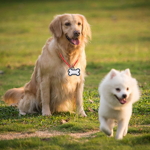 Thép không gỉ Keychain Chất lượng cao thăng hoa trống Dog Tag Craft ID Tên Laser Lettering Logo Quà Tặng xương hình dạng vật nuôi mèo thẻ - Product Image 4