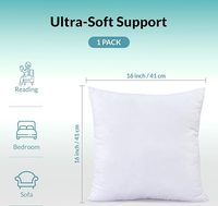 Coussin d'appoint carré de 16 x 16 pouces, alternative au duvet, avec garnissage en polyester, blanc, lot de 1