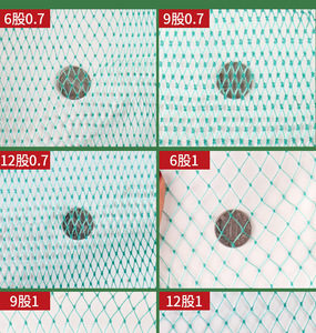 Filet <span class=keywords><strong>de</strong></span> treillis vert personnalisable pour plantes grimpantes, légumes, fruits et fruits <span class=keywords><strong>de</strong></span> <span class=keywords><strong>la</strong></span> <span class=keywords><strong>passion</strong></span> - Product Image 6