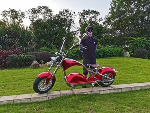 Scooter Elettrico Chopper a <span class=keywords><strong>2</strong></span> Ruote per Adulti 2026, Nuovo Modello con Potente Motore, Sensore Elettronico e Finiture Cromate - Product Image 5