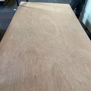 <span class=keywords><strong>Contreplaqué</strong></span> commercial bon marché <span class=keywords><strong>de</strong></span> Offre Spéciale <span class=keywords><strong>de</strong></span> temps limité 18Mm Bintangor - Product Image 2