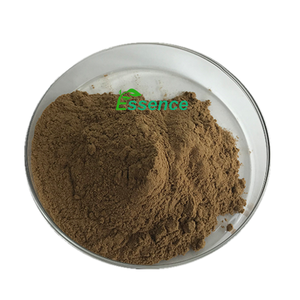 Fungsi kesehatan kualitas tinggi 4:1 ekstrak biji seledri bubuk suplemen gizi kapsul biji seledri - Product Image 2