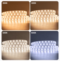 Cordons lumineux LED Haute tension Bande LED AC230V IP65 DIY Lumières de Noël flexibles en forme de corde 50 100 mètres Lumière de corde LED d'extérieur