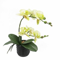 Mini orchidée artificielle Phalaenopsis jaune de 28 cm en pot, petite plante en pot pour bureau, étagère, salle de bain et décoration intérieure