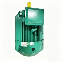 Moteur électrique triphasé à économie d'énergie pour mines industrielles, 185 kW, protection IP54/IP55, modèle YE4-355L1-8/185KW 50/60Hz