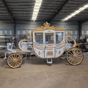 Fabricant de calèches de luxe en platine, calèches électriques pour mariages, calèches électriques sans chevaux pour le tourisme - Product Image 4